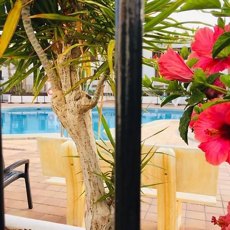 Lägenhet Victoria Court 1 Los Cristianos Arona *
